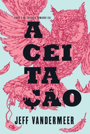 Aceitação (Comando Sul Livro 3)