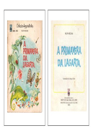 Ruth Rocha a Primavera da Lagarta 1